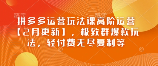 拼多多运营玩法课高阶运营【2月更新】，极致群爆款玩法，轻付费无尽复制等-云阁资源网