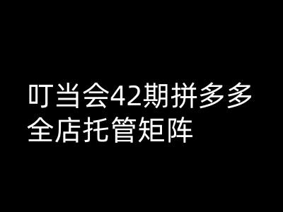 叮当会拼多多打爆班原创高阶技术第42期，拼多多全店托管矩阵-云阁资源网