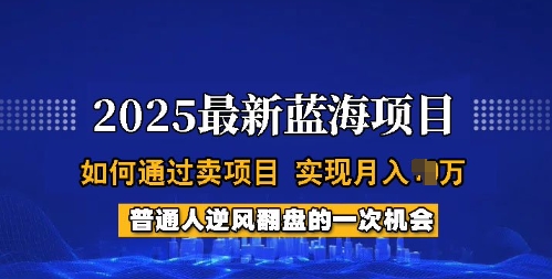 2025蓝海项目，普通人如何通过卖项目，实现月入过W，全过程【揭秘】-云阁资源网