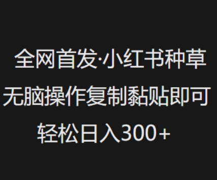 全网首发，小红书种草无脑操作，复制黏贴即可，轻松日入3张-云阁资源网