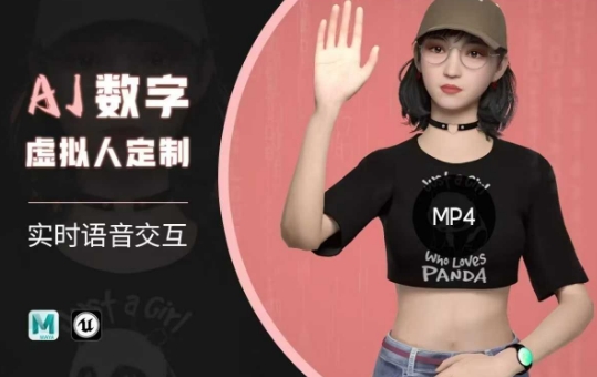 Ai数字人虚拟(智能体)实时语音交互特训营，​自行定制超写实角色AI数字人交互技术-云阁资源网