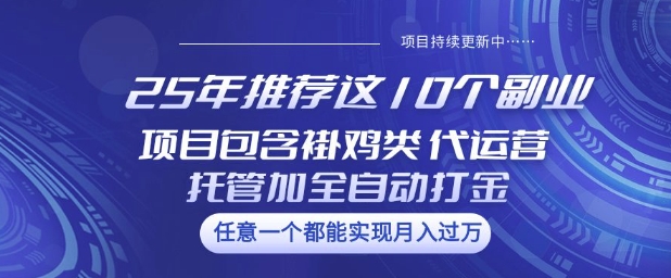 25年推荐这10个副业项目包含褂鸡类、代运营托管类、全自动打金类【揭秘】-云阁资源网