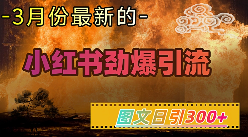 小红书超劲爆引流手段，图文日引300+轻松变现1W-云阁资源网