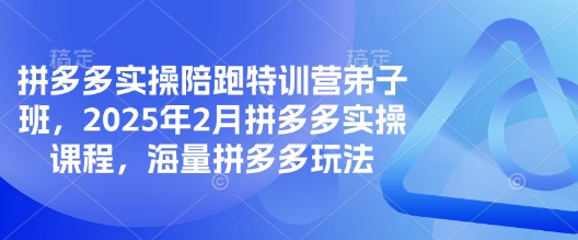 拼多多实操陪跑特训营弟子班，2025年2月拼多多实操课程，海量拼多多玩法-云阁资源网