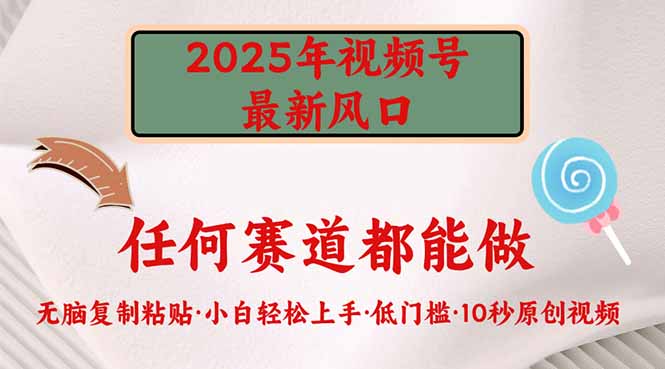 2025年视频号新风口，低门槛只需要无脑执行-云阁资源网