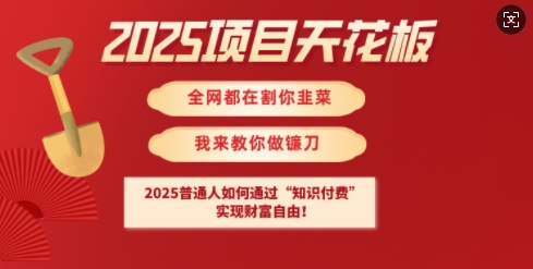 2025项目天花板普通人如何通过知识付费，实现财F自由【揭秘】-云阁资源网