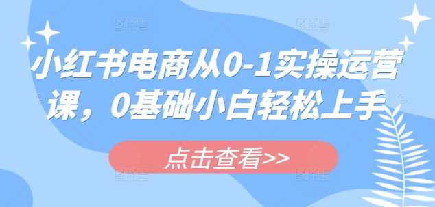 小红书电商从0-1实操运营课，0基础小白轻松上手-云阁资源网