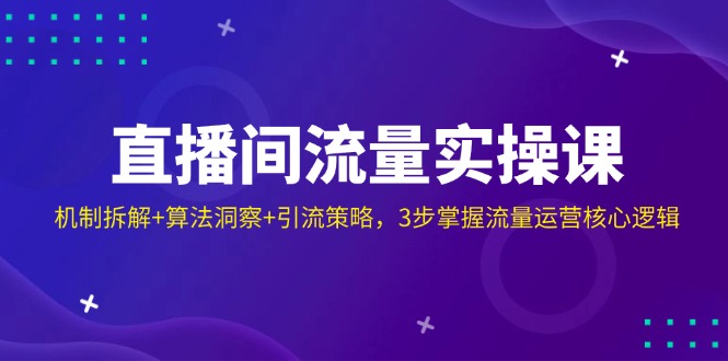 直播间流量实操课：机制拆解+算法洞察+引流策略，3步掌握流量运营核心逻辑-云阁资源网
