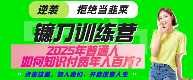 【网创项目终点站-镰刀训练营超级IP合伙人】25年普通人如何通过知识付费实现逆袭【揭秘】-云阁资源网