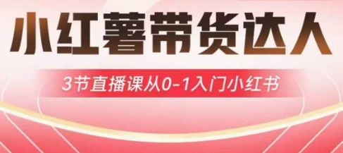 小红薯达人带货启航计划，3节直播课从0-1入门小红书-云阁资源网