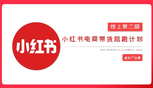 2025小红书虚拟电商实战课，从0到1打造无货源店铺，AI+爆款笔记轻松变现-云阁资源网