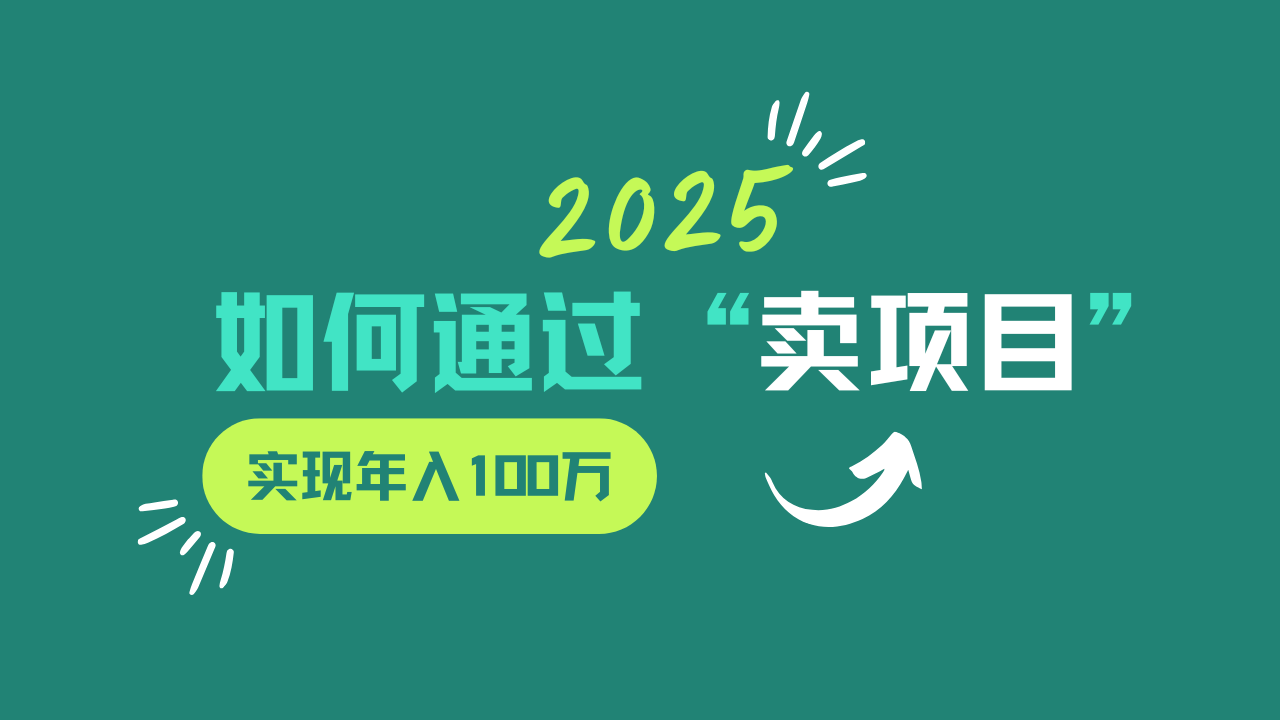 2025年如何通过“卖项目”实现年入100w-云阁资源网