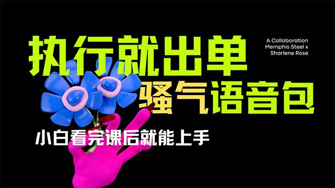爆火全网的开车导航骚气语音包,只要执行就出单，小白看完课程就能实操…-云阁资源网