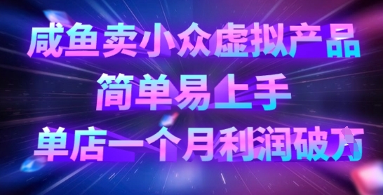 咸鱼卖小众虚拟产品，简单易上手，单店一个月利润破W-云阁资源网
