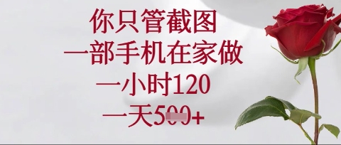 你只管截图，一部手机在家操作，一小时120.一天5张【揭秘】-云阁资源网