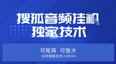 【搜狐音频挂G】独家技术，可矩阵可放大，红利期稳定月入8k【揭秘】-云阁资源网