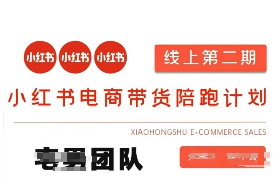 小红书电商带货课2期，月利润20个的小红书电商的有货源，无货源，虚拟产品，付费投流等整套玩法-云阁资源网