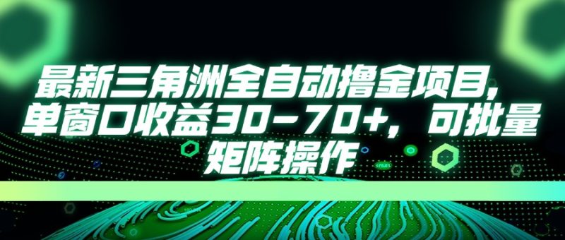 最新三角洲全自动撸金项目，单窗口收益30-70+，可批量矩阵操作-云阁资源网