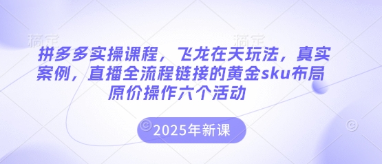 拼多多实操课程，飞龙在天玩法，真实案例，直播全流程链接的黄金sku布局原价操作六个活动-云阁资源网