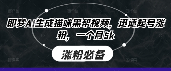 即梦AI生成猫咪黑帮视频，迅速起号涨粉，一个月5k-云阁资源网