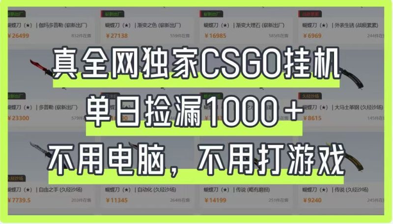 真全网独家CSGO挂机,单日捡漏1000+,不用电脑,不用养号-云阁资源网
