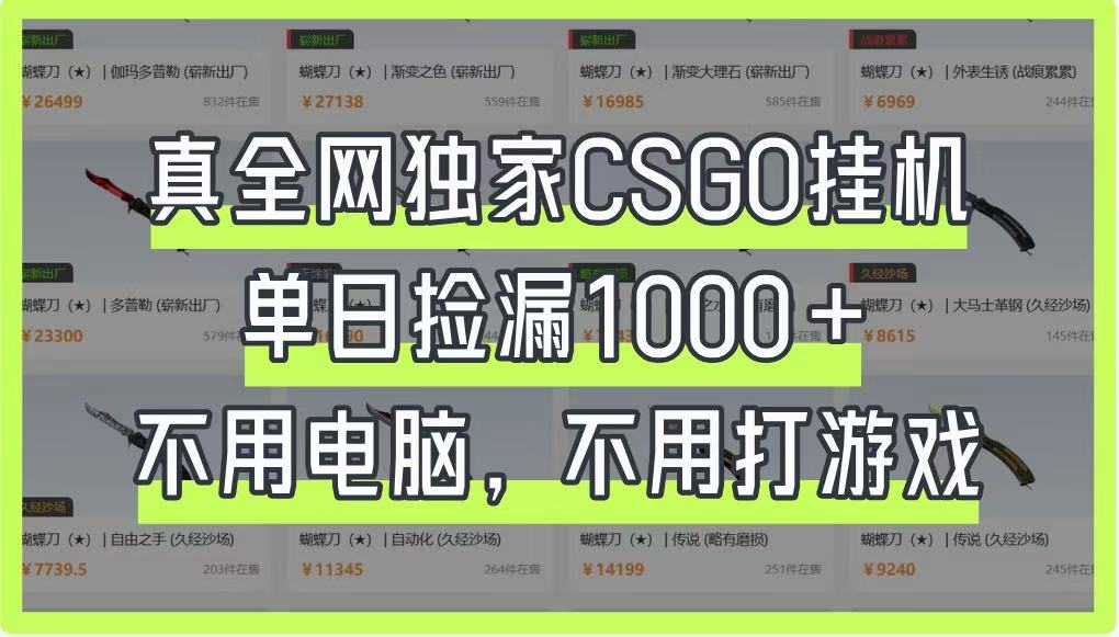 真全网独家CSGO挂机，单日捡漏1000+，不用电脑，不用养号-云阁资源网