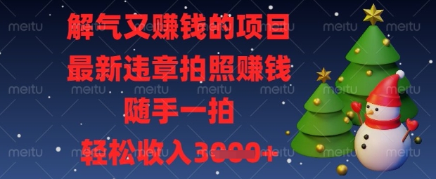 解气又挣钱的项目，最新违章拍照挣钱，随手一拍，轻松收入数张【揭秘】-云阁资源网