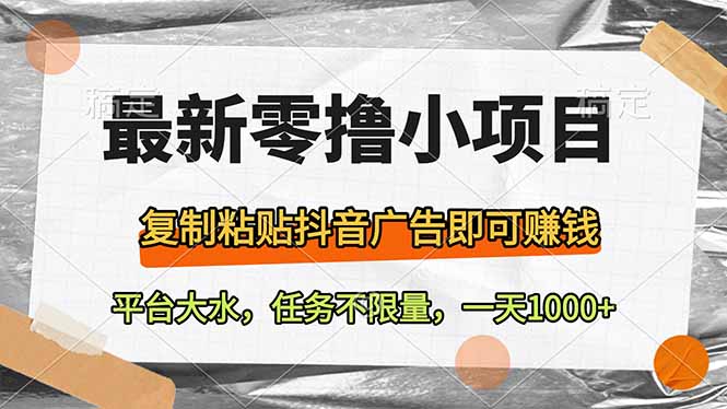 最新零撸小项目，复制粘贴抖音广告即可赚钱，平台大水，任务不限量，一…-云阁资源网