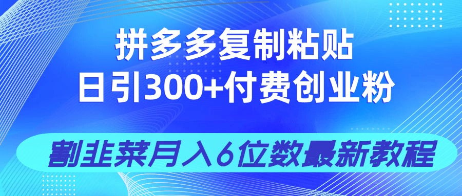 拼多多复制粘贴日引300+付费创业粉，割韭菜月入6位数最新教程！-云阁资源网