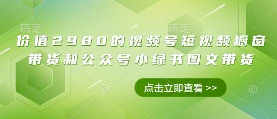价值2980的视频号短视频橱窗带货和公众号小绿书图文带货-云阁资源网