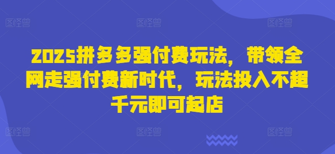 2025拼多多强付费玩法，带领全网走强付费新时代，玩法投入不超千元即可起店-云阁资源网