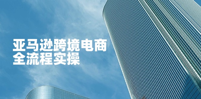 亚马逊跨境电商全流程实操，教你从零开始，掌握店铺运营与广告技巧-云阁资源网