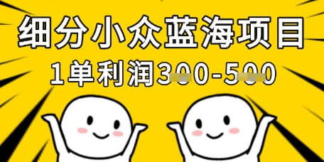 细分小众蓝海项目，一单利润3张，每月收入稳定过1w+-云阁资源网