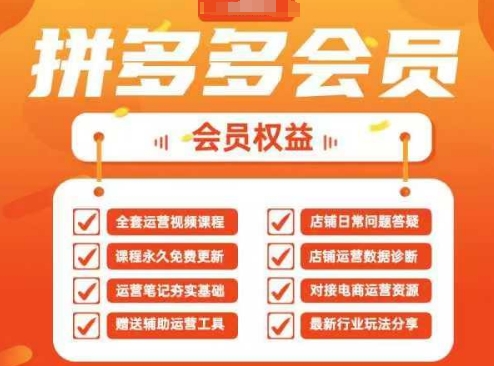 2025拼多多运营实战课，40节全流程教学，覆盖拼多多运营全链路-云阁资源网
