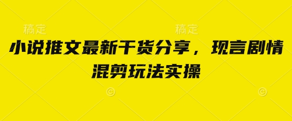 小说推文最新干货分享，现言剧情混剪玩法实操-云阁资源网