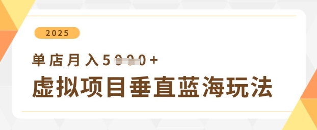 虚拟项目垂直玩法，实现单店月入5k+-云阁资源网