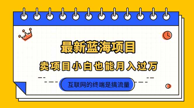 2025年最新蓝海项目，卖项目小白也能月入过万-云阁资源网