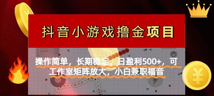 【抖音小游戏发行人计划项目】操作简单，长期稳定，日盈利500+，可工作…-云阁资源网