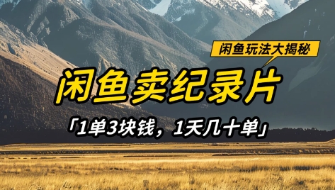 闲鱼卖纪录片1单3块钱，1天几十单，项目稳定有潜力-云阁资源网