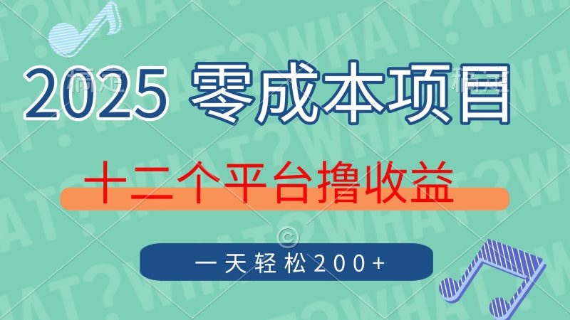 2025年零成本项目,十二个平台撸收益,单号一天轻松200+-云阁资源网