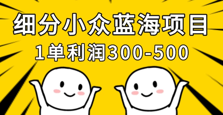 细分小众蓝海项目，一单利润300-500，每月收入稳定4w+-云阁资源网