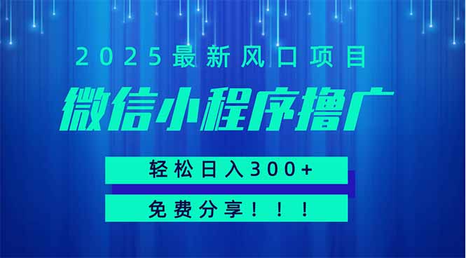 微信小程序撸广，最新风口项目，日入300+ 免费分享 可批量操作 小白可…-云阁资源网