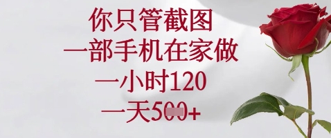 你只管截图，一部手机在家做，苹果安卓都可以，一小时120，一天5张+【揭秘】-云阁资源网