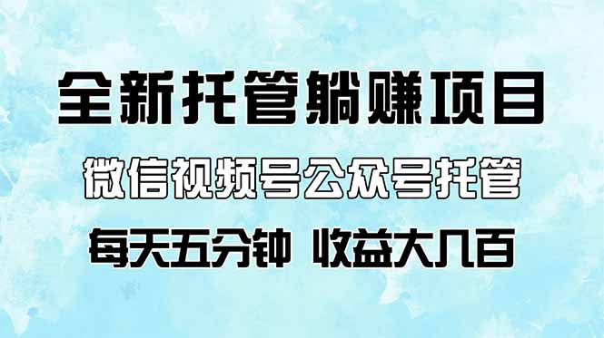 全新托管躺赚项目，微信视频号公众号托管代运营，每天五分钟，收益大几百-云阁资源网
