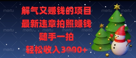 解气又挣钱的项目，最新违章拍照挣钱，随手一拍，轻松收入多张【揭秘】-云阁资源网