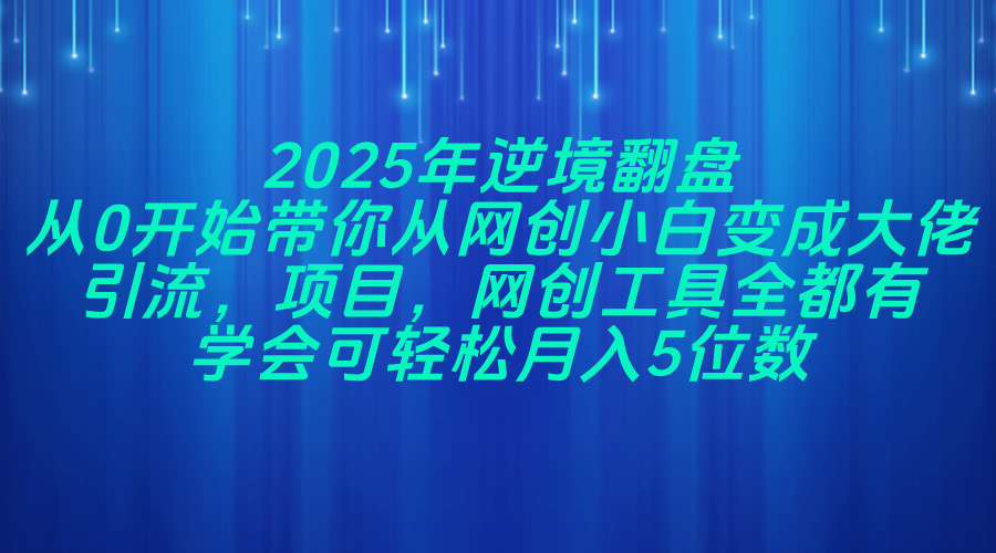2025年逆境翻盘，从0开始带你从网创小白变成大佬，引流，项目，网创工…-云阁资源网