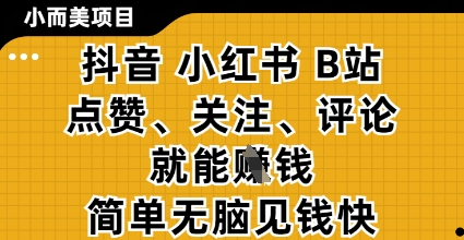 小而美的项目，抖音小红书B站视频点赞、关注、评论就能挣钱，简单无脑立见收益，妥妥的零撸项目【揭秘】-云阁资源网