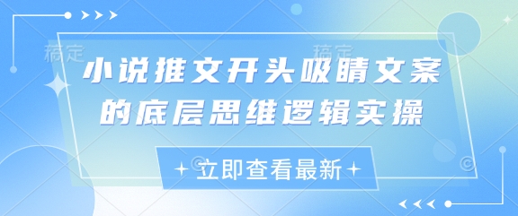 小说推文开头吸睛文案的底层思维逻辑实操-云阁资源网