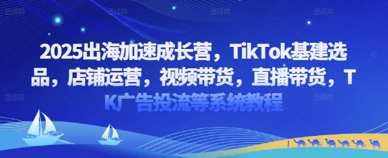 2025出海加速成长营，TikTok基建选品，店铺运营，视频带货，直播带货，TK广告投流等系统教程-云阁资源网