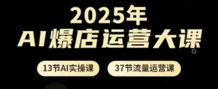 2025年AI爆店运营大课，13节AI实操课+37节流量运营课-云阁资源网